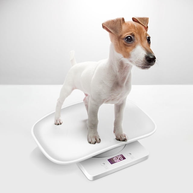 FELTECHELECTR Petite Balance Compacte pour Animaux 1 Ensemble Matériel Balances pour Chiots et Chats avec Écran Rétroéclairé