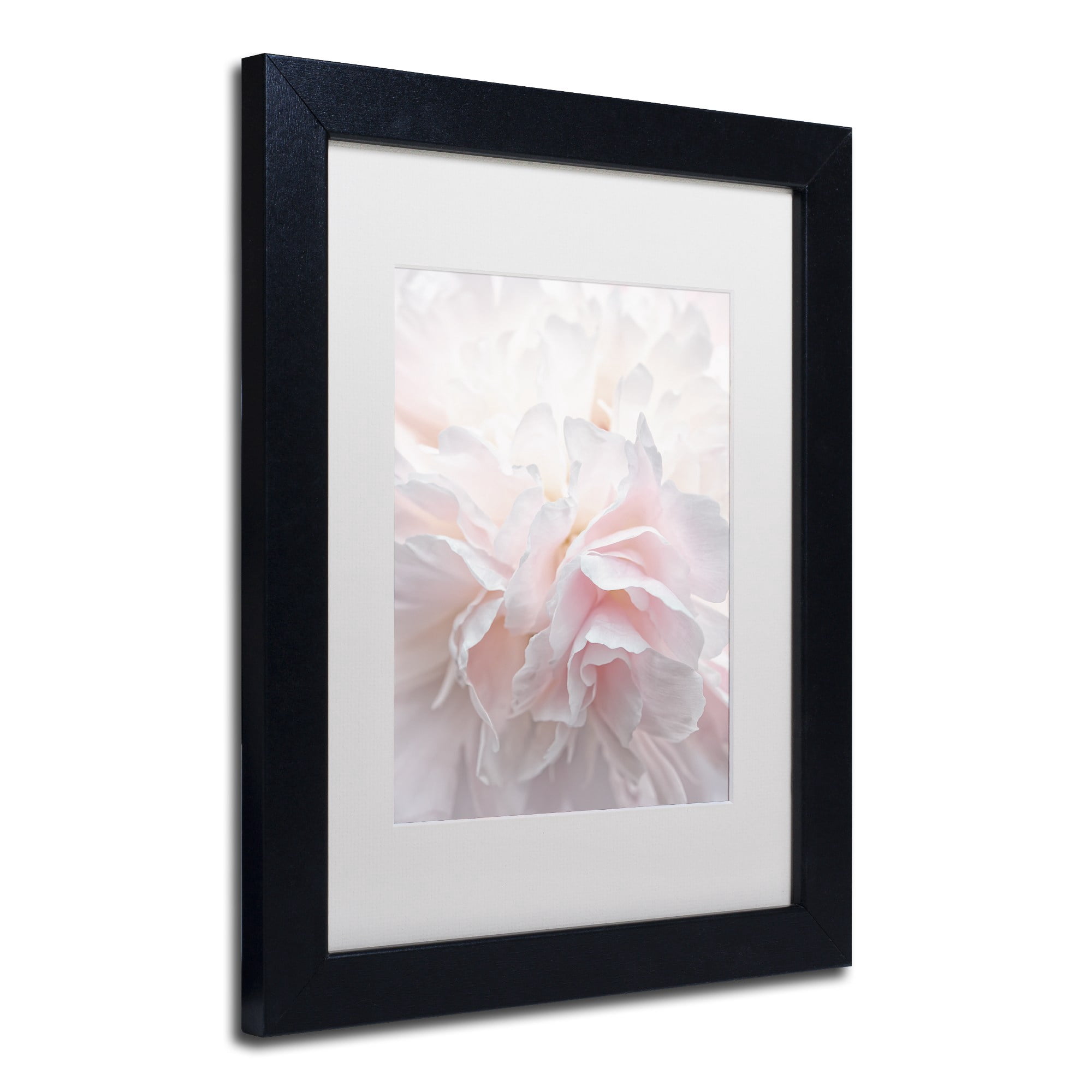Trademark Fine Art 'Pink Peony Petals IV' Canvas Art by Cora Niele, White Matte, Wood Frame