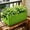 Non-Woven Fabric Grow Bag Under $5 a4, variant on CQCYD Non-Woven Grow Bag, Breathable Vegetable Growing Container, Fabric Garden Pot for Potatoes, Tomatoes and Herbs, Reusable Eco-Friendly Planter Sack