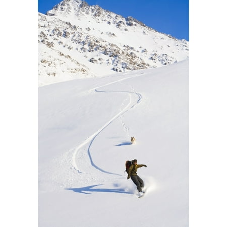 Man Snowboarding Down A Mountain Near Eagle River Winter In Southcentral Alaska