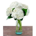 thumbnail image 3 of 5 White Hydrangea by Arabella Bouquets with a Free Hand- Blown Glass Vase (Fresh-Cut Flowers), 3 of 4
