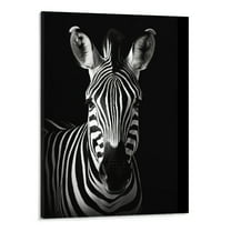 Creowell Modern Black and White Décor Canvas Wall Art,Animals Picture Prints,Zebra Painting Printed on Canvas,Wall Decoration 16x20 inch