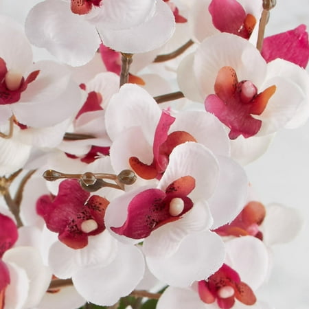 Cream and Purple Artificial Moth Orchid Spray Place this Cream and Purple Moth Orchid Silk Flower Spray in a container for an instant arrangement. This beautiful plant is an indulgence anyone can afford. Because it is artificial there is no need to worry about caring for the delicate looking flower. .