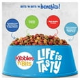 thumbnail image 6 of Kibbles 'n Bits Bistro Oven Roasted Beef Flavor Dog Food, 4.2-Pound, 6 of 11