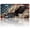 American Eagle Flag, variant on USA 250th Anniversary License Plate, Personalized Grunge America Car Front License Plate Cover, Car Decor Accessory Stainless Aluminum Metal Rust-Proof Car Plate Novelty Vanity Tag 6 X 12 Inch