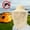 Outdoor Protection Hat Under $5 a6, variant on BRELIL Mosquito Net Hat, Durable Insect Proof Head Net With Wide Brim, Bee Veil Hat For Outdoor Camping Gardening Hiking Fishing And Sun Protection