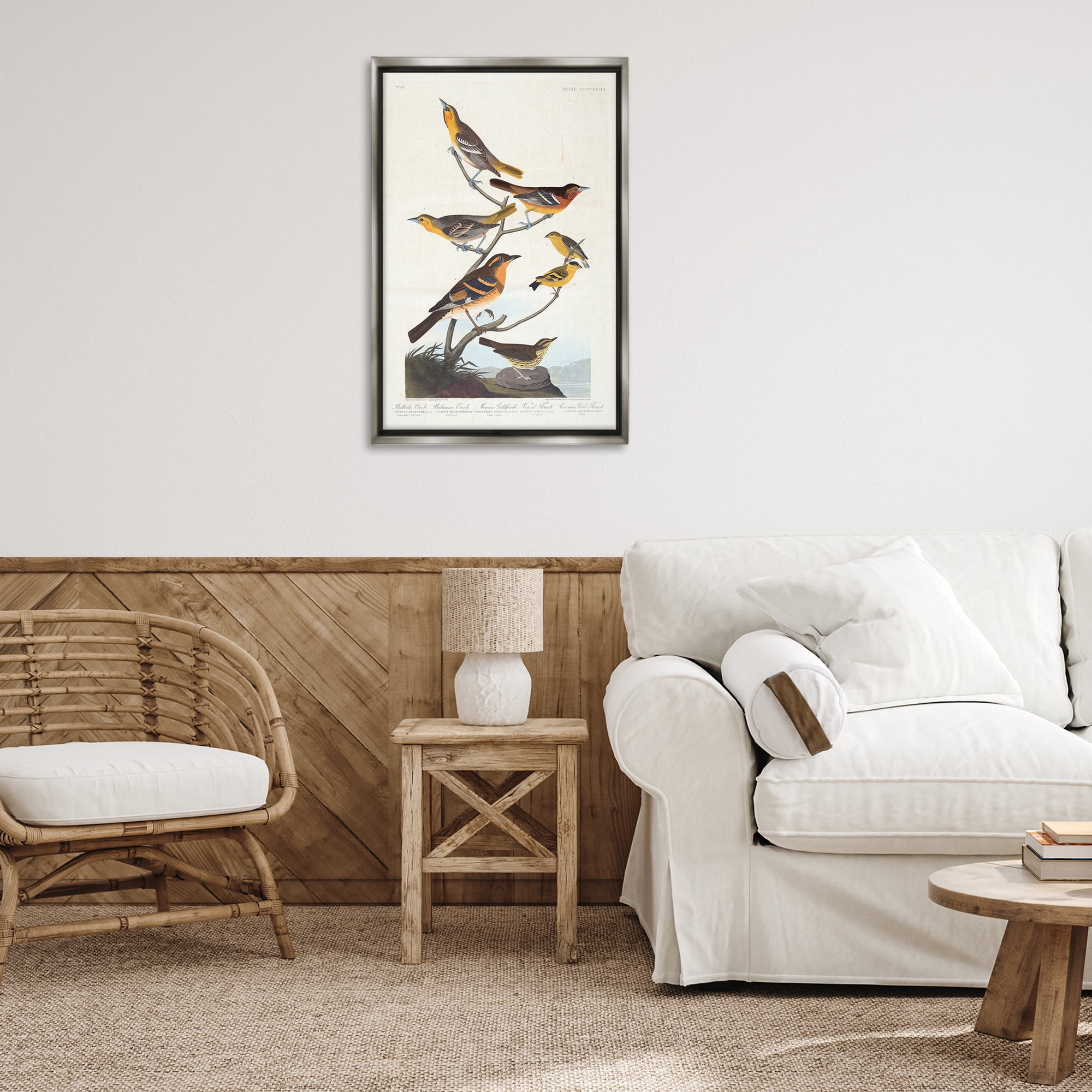 Stupell Industries Classic Bullock's Oriole Study Animals Painting Gray Floater Framed Canvas Art Print Wall Art, 21 x 31