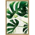 thumbnail image 3 of PixonSign Framed Canvas Print Wall Art Faded Monstera Leaf Trio Nature Wilderness Illustrations Modern Art Rustic Colorful Multicolor Ultra for Living Room, Bedroom, Office - 24"x36" Natural, 3 of 5