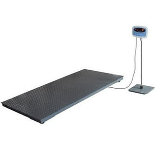 Brecknell Scales 816965004805 1000 lb. Bariatric Scale