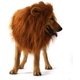 thumbnail image 1 of Disfraz de melena de león para perros y gatos medianos a grandes, ajustable, realista, divertida, peluca de melena de león con orejas, ropa para Halloween, cosplay, fiesta, vacaciones (oscuro) BRI Rojo Verde, 1 of 5
