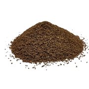 12 oz Broccoli Microgreen Sprouting Seeds - High Germination, Non-GMO for Hydroponics & Soil Growing, Nutrient-Rich Superfood
