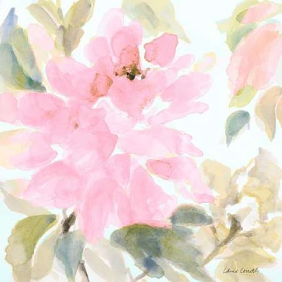 Early Pink Blooms II Canvas Art - Lanie Loreth(24X24)