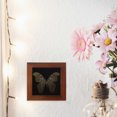 thumbnail image 1 of GAXIRE Display Frame Shadow Box Wooden Frame Coffee Jewelry Storage Home Decor 1Set, 1 of 7