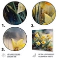 thumbnail image 3 of Designart "Daffodils Elegance Golden II" Floral Daffodil Metal Art Print, 3 of 5
