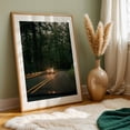 thumbnail image 6 of Headlights in the Forest - Oregon Photography Forest Nature Car Woodland Scenic Landscape Wilderness Unframed Wall Art Print 5 x 7 inches, 6 of 60