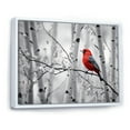 thumbnail image 2 of Designart "Forest Guardian Monochrome Red Grey Bird II" Animals Floater Framed Canvas Print, 2 of 7