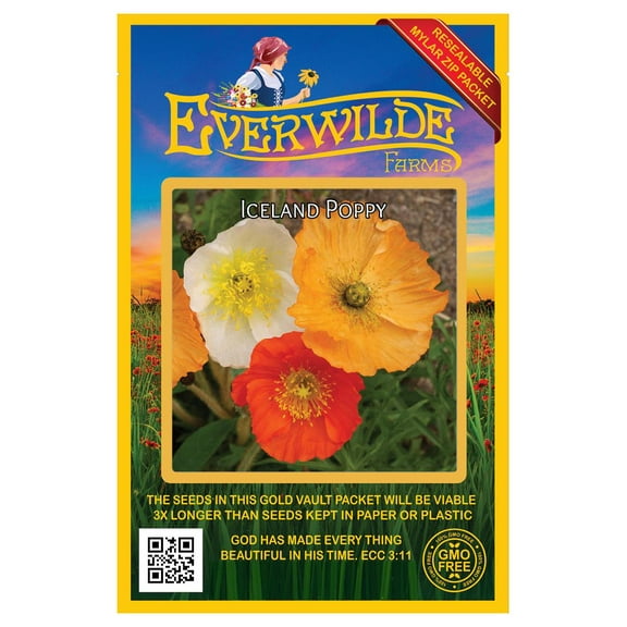 Everwilde Farms - 2000 Iceland Poppy Native Wildflower Seeds - Gold Vault Seed Packet