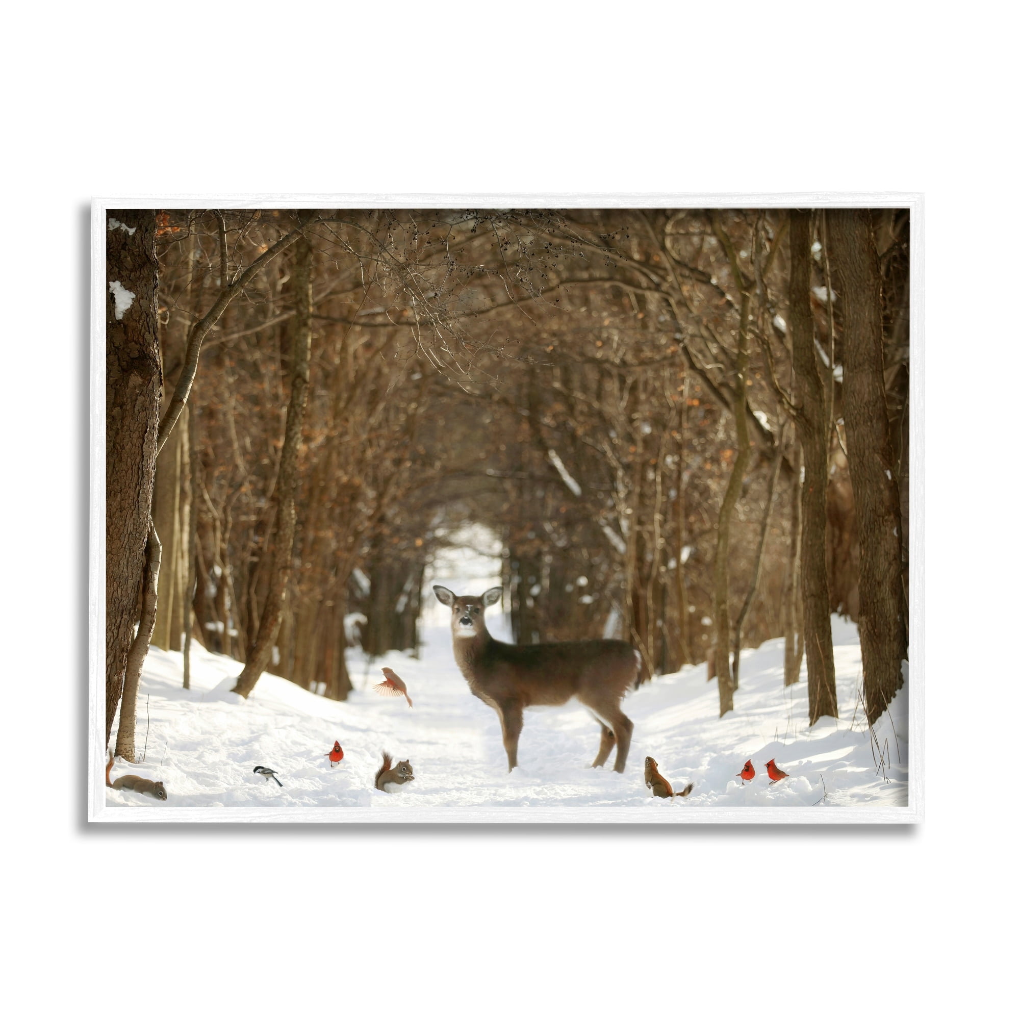 Stupell Industries Wild Forest Animals Gathered Amidst Snowy Trees Photograph White Framed Art Print Wall Art, Design by Carrie Ann Grippo-Pike