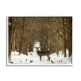 thumbnail image 4 of Stupell Industries Wild Forest Animals Gathered Amidst Snowy Trees Photograph White Framed Art Print Wall Art, Design by Carrie Ann Grippo-Pike, 4 of 5