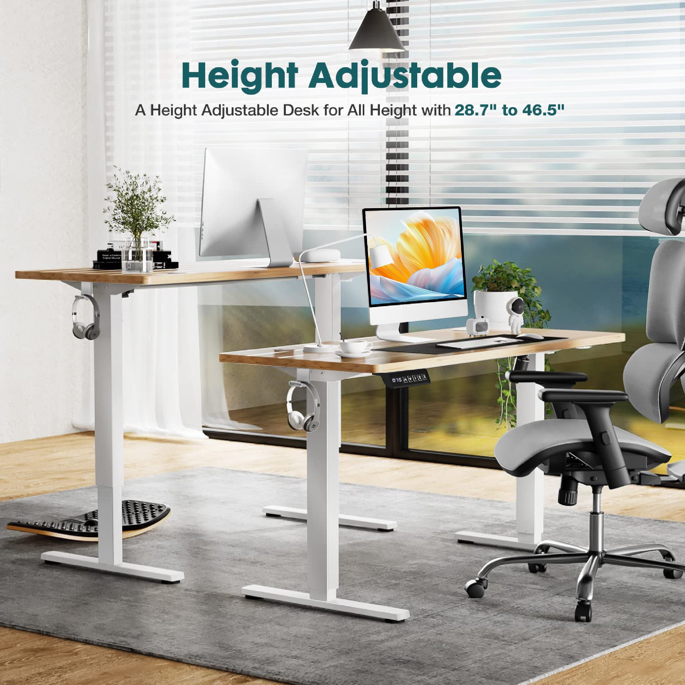 CONCETTA 63x24 inch Adjustable Electric Standing Desk for Adults, Lap Desks, Oak, 1 Count