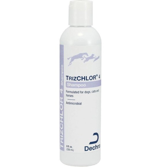 Chlorhexidine Shampoo