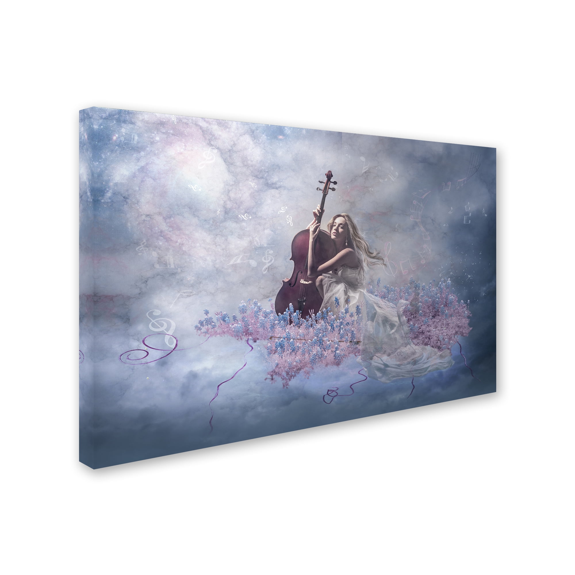 Trademark Fine Art 'Music Of The Soul' Canvas Art by Natalia Simongulashvili