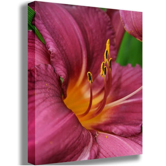 Batie "The Lily" Canvas Print