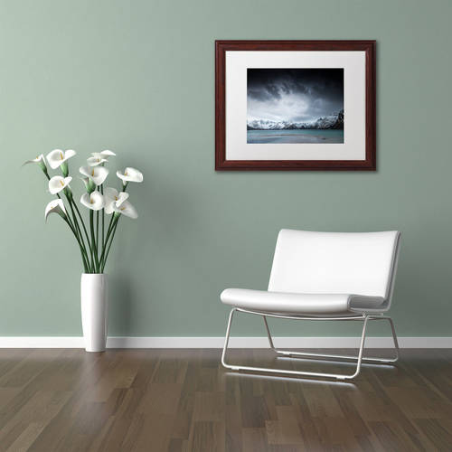 Trademark Fine Art "Over The Years" Canvas Art by Philippe Sainte-Laudy, White Matte, Wood Frame
