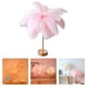 thumbnail image 3 of Lámpara de mesa de plumas con control remoto, luz USB, apliques de tocador para porche, decoración, iluminación Rosa, 3 of 9