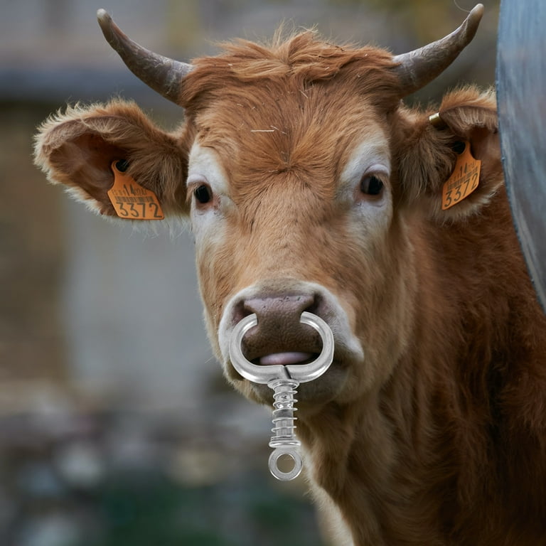 Cattle weaning rings new arrivals