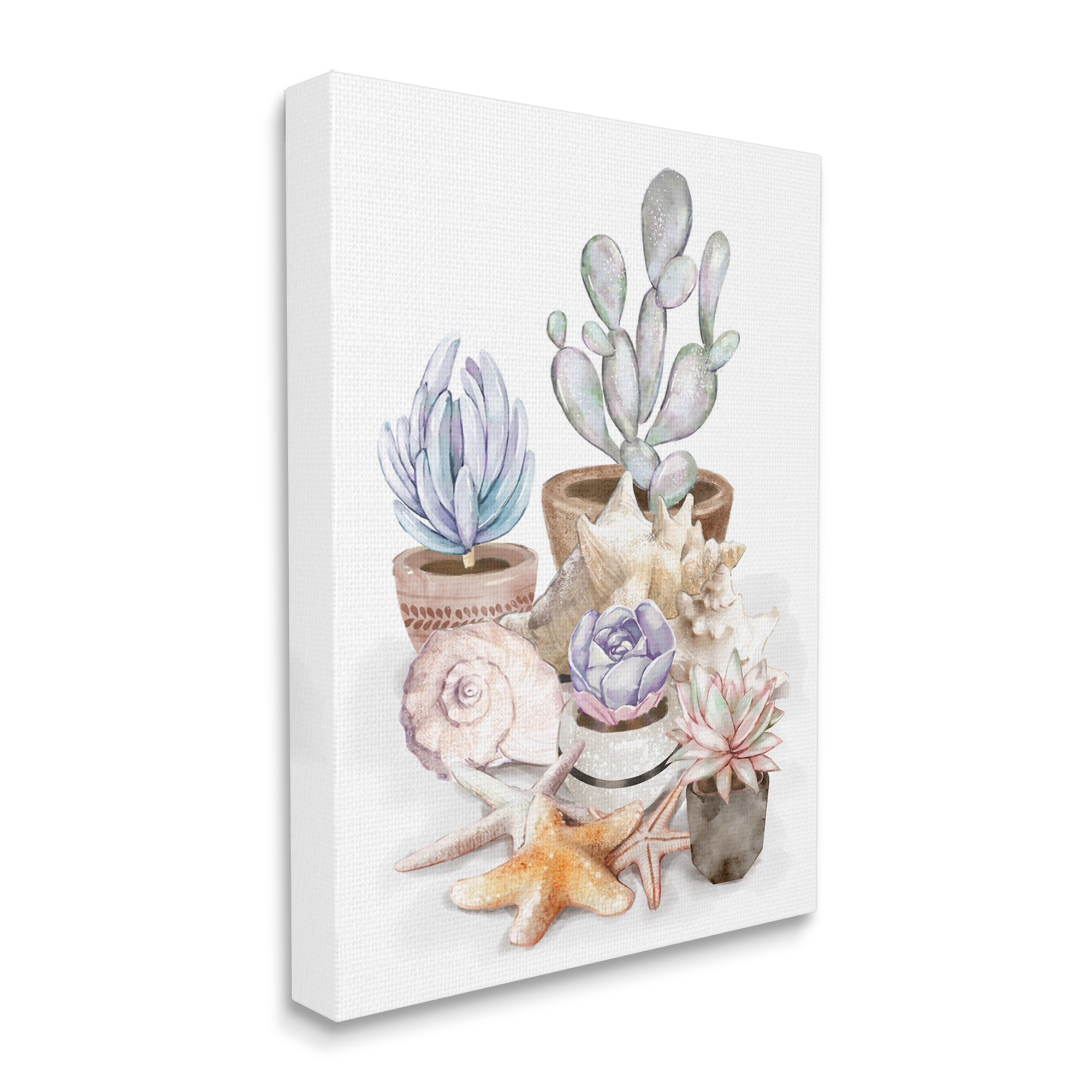 Stupell Industries Coastal Beach Succulent Plants Sea Shells Starfish, 36 x 48, Design by Ziwei Li