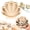 2pcs, variant on Wooden Seashell Collection Storage Box with Acrylic Panel Seashell Display Decorative Case Multifunctional Wooden Coastal Decor for Shells Sea Glass Small Items (Wood)