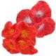 thumbnail image 1 of BESTYASH 2Ud De Acuarios Con Flotantes Y Coral Artificial En Resina Roja, 1 of 6