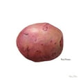 thumbnail image 3 of Wilson, Kelsey 15x15 Black Modern Framed Museum Art Print Titled - Organic Potatoes II, 3 of 5