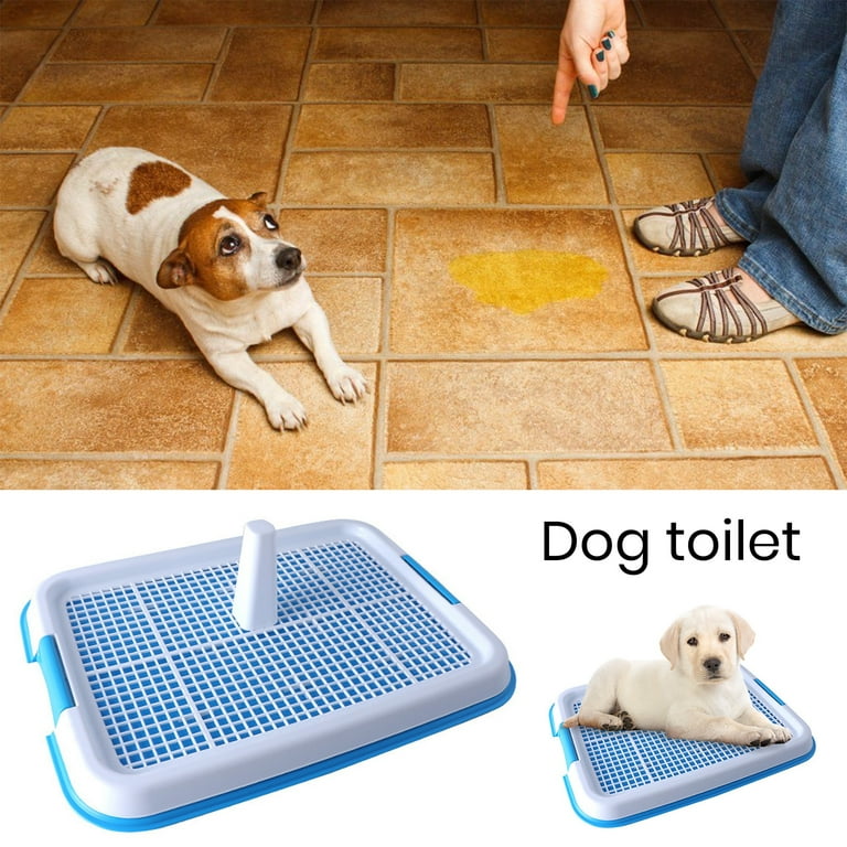 Large dog top indoor potty