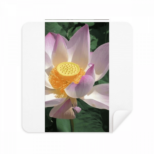 Perfect Lotus Summer Art Deco Fashion Glasses Cloth Screen Cleaner Suede Fabric 2 Pack