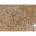 thumbnail image 3 of Josh's Frogs Coco Fiber Mat (~12 x 12 inch), 3 of 5
