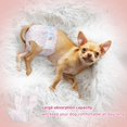 thumbnail image 4 of Pañales desechables para perros FUNLIYING para mujer, 90 unidades, talla M, 4 of 6
