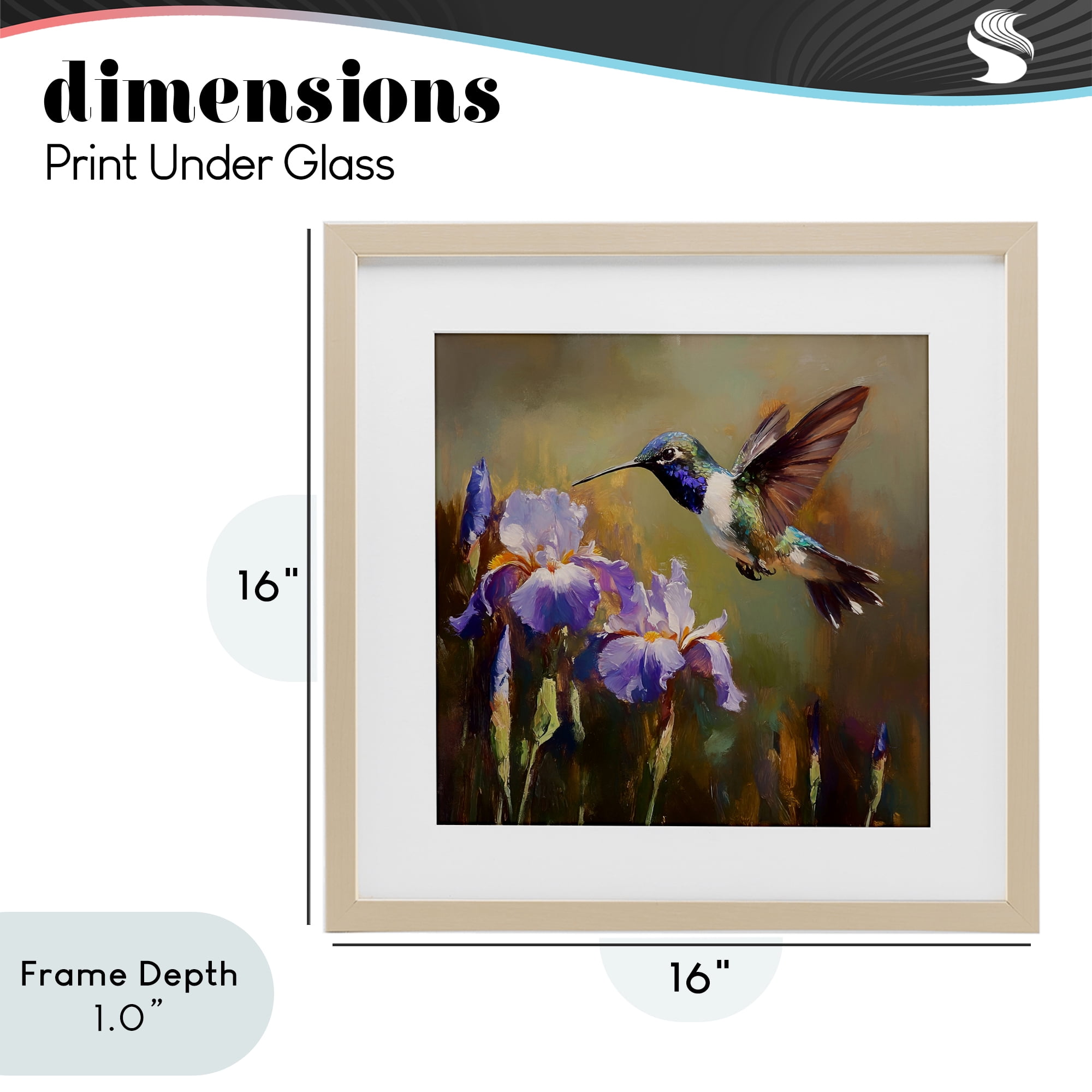 Stupell Industries Hummingbird & Purple Irises Birch Framed Print Under Glass, design by Tina LeCour