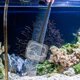 thumbnail image 1 of MERRYHAPY 1Jgo Fish Tank Cleaning Brush with Sturdy Handle and Sponge for Easy Corner Cleaning, 1 of 8