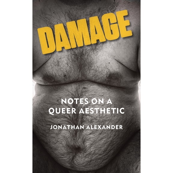 Damage : Notes on a Queer Aesthetic (Paperback)
