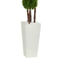 thumbnail image 3 of Nearly Natural 4' Boxwood Artificial Topiary Tree in Planter (Indoor/Outdoor), 3 of 5