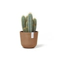 thumbnail image 4 of Ecopots Oslo Mini Durable Modern Round Indoor/Outdoor Recycled Based Composite Flower Pot Planter, Terracotta Color, 6", 4 of 4
