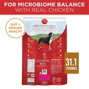 Purina One Dry Dog Food for Adult Dogs High Protein, Real Chicken & Rice, 31.1 lb Bag