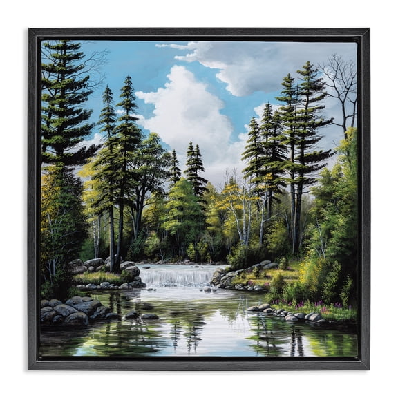Stupell Industries Coastal Before The Falls Landscape Black Floating Frame Canvas Art, 18 x 18, by Bill Saunders