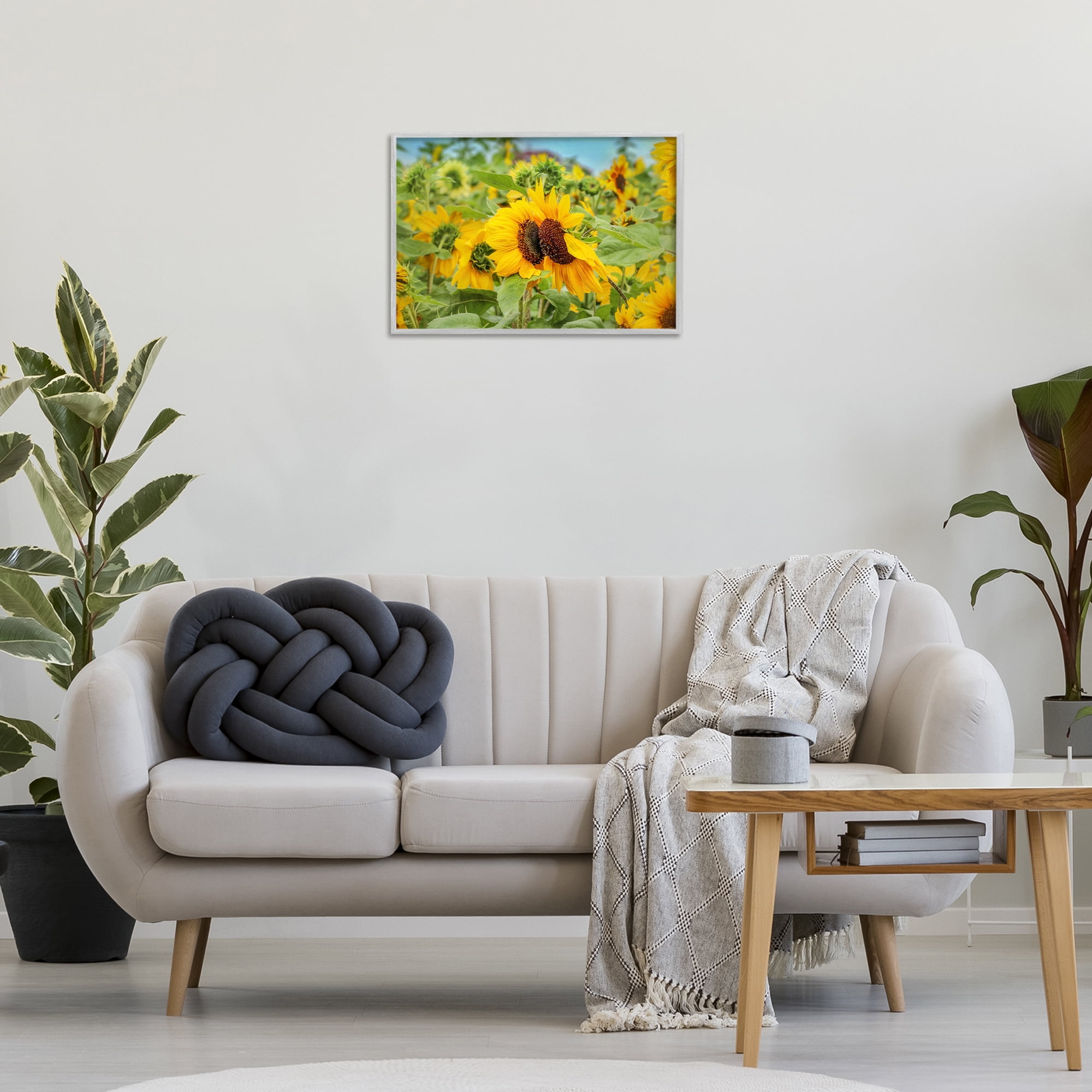 Stupell Industries Sunflower Field Photography Landscape Photography Gray Framed Art Print Wall Art, 24 x 16