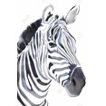 thumbnail image 3 of Watercolor zebra - 24"x36" canvas - Print on demand, 3 of 5