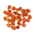 thumbnail image 2 of Enredaderas de hoja de arce rojo Ounissouiy 12 piezas ecológicas, 2 of 6