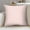 C, variant on Dwellis 2 Pack Modern Solid Color Pillow Cover Home Decor, Couch Pillows Cushion Case for Sofa Couch Bed, Square Throw Pillow Cover, Soft and Breathable Washable Pillow Size 17 X 17 Inches