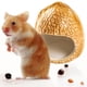 thumbnail image 2 of Jaula de cerámica para hámster, cálida y acogedora, para mascotas, juguetes para ratas, casa para animales Nuez, 2 of 8